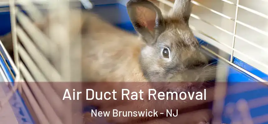  Air Duct Rat Removal New Brunswick - NJ