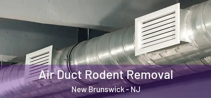  Air Duct Rodent Removal New Brunswick - NJ