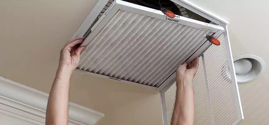 Preventive Cockroach-Proofing for Ducts in New Brunswick