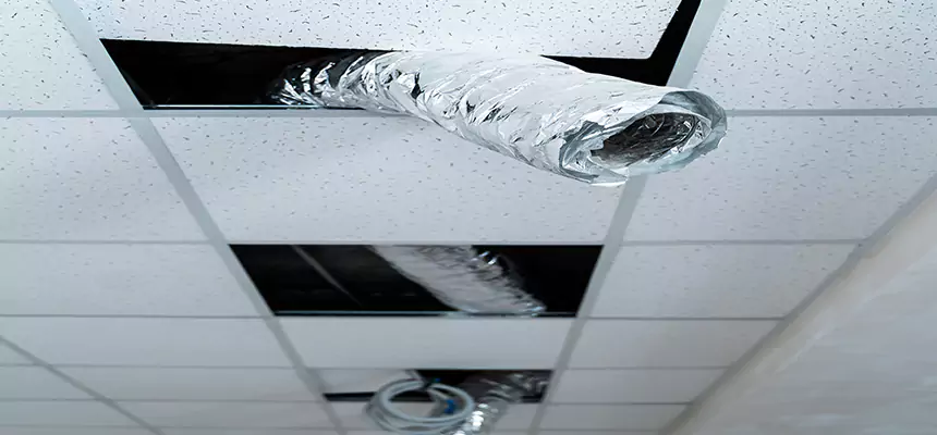 Affordable HVAC Sanitizing After Pest Removal in New Brunswick