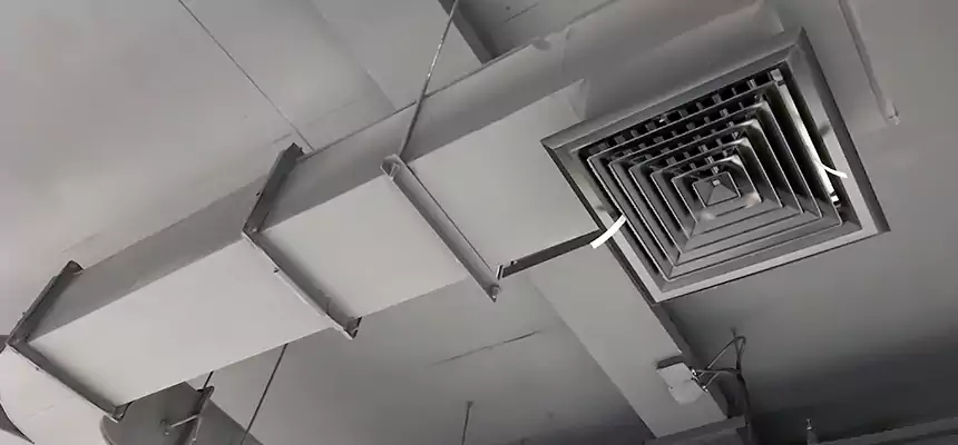 Restorative Allergy Relief Vent Cleaning – Coil, Blower & Housing Detail in New Brunswick