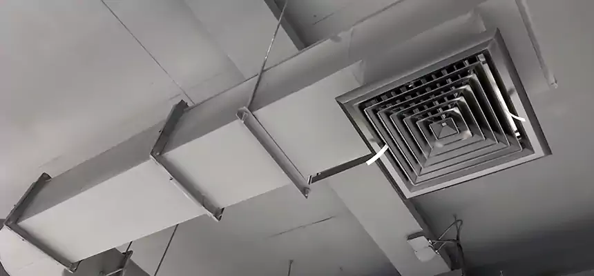 Our Pest Removal From Ducts Services in New Brunswick, NJ