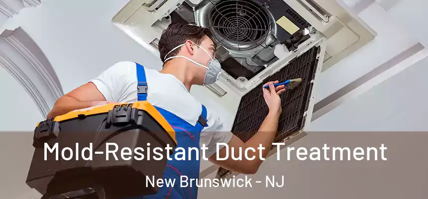  Mold-Resistant Duct Treatment New Brunswick - NJ
