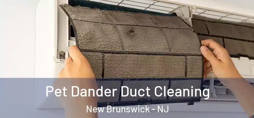 Pet Dander Duct Cleaning New Brunswick - NJ