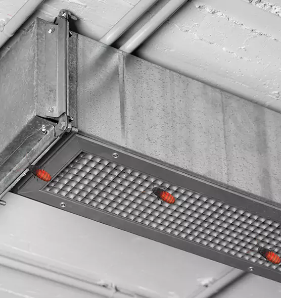 About Air Duct Cockroach Removal in New Brunswick, NJ