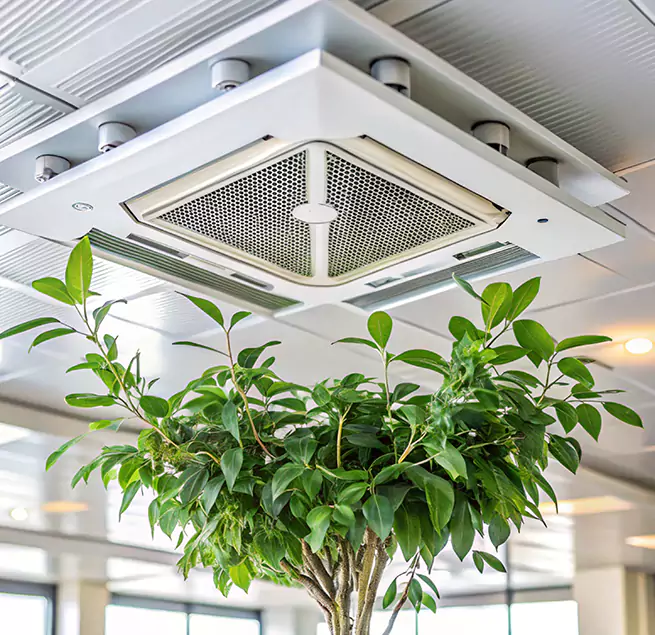 Why Homeowners & Businesses Trust Us in New Brunswick, NJ