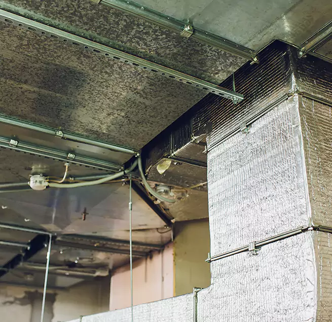 Why Homeowners & Businesses Trust Us in New Brunswick, NJ?